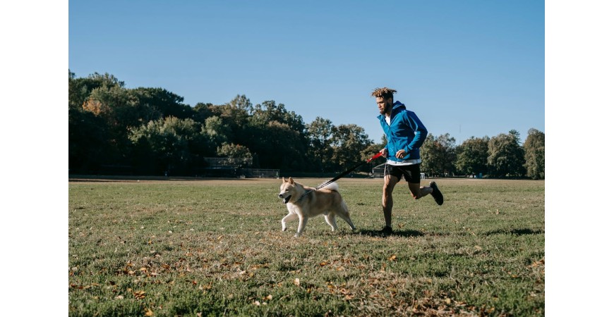 Consejos para correr con tu perro