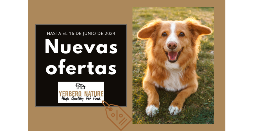 Descubre nuestras nuevas ofertas en comida para perros