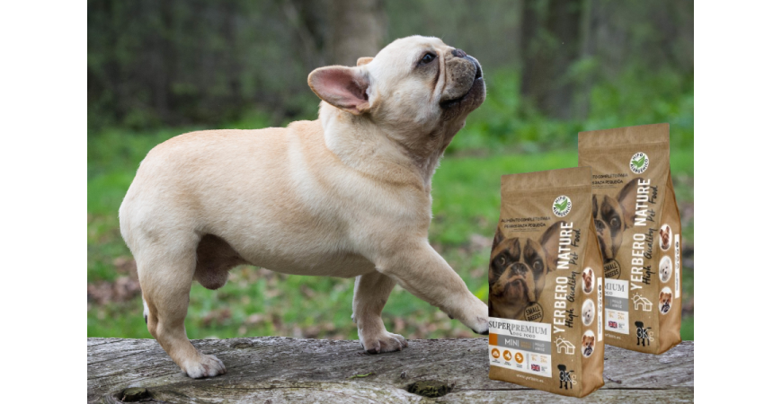 ¡NEW! Alimento superpremium para perros mini pollo y arroz