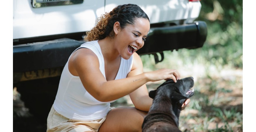 Tips para viajar en el coche con tu perro