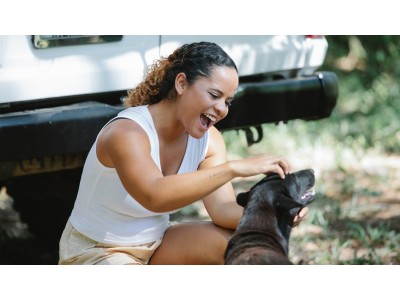 Tips para viajar en el coche con tu perro