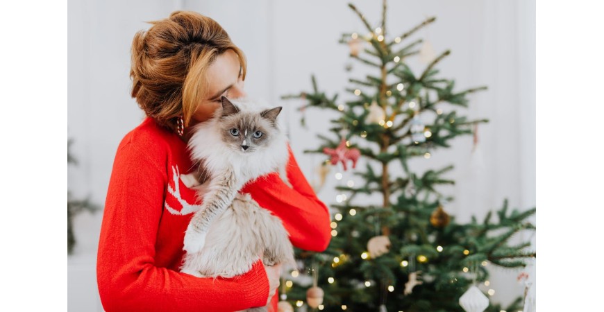 Consejos para una Navidad segura para tu gato