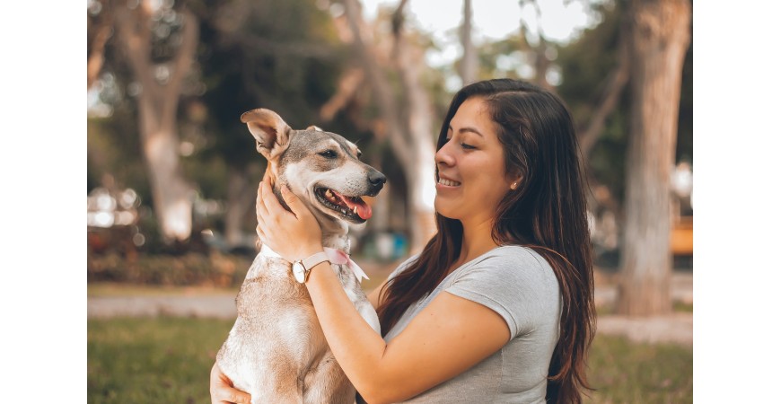 Comida para perros en Yerbero Nature 