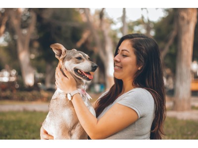 Comida para perros en Yerbero Nature 