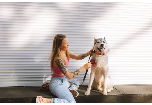 Omega 3 para hacer frente a la muda de pelo de tu perro