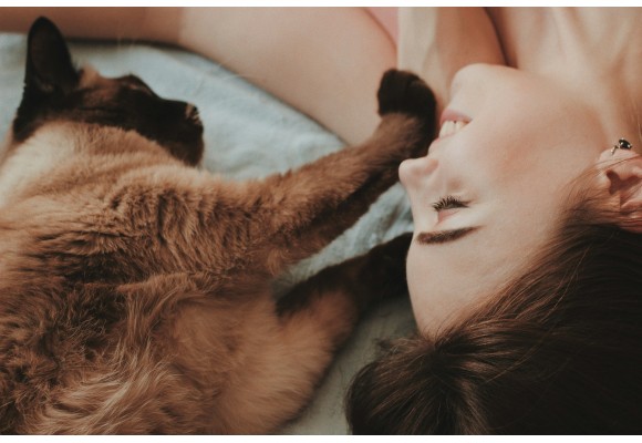 Gatoterapia, los efectos beneficiosos de vivir con un gato