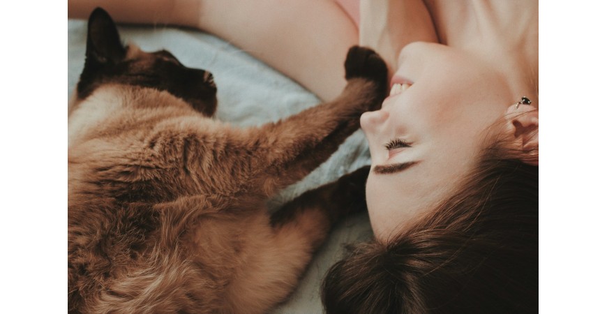 Gatoterapia, los efectos beneficiosos de vivir con un gato
