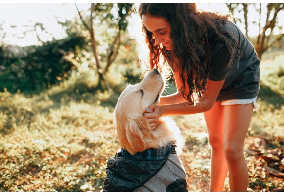 ¿Cómo saber si tu perro tiene alergia alimentaria y cómo actuar?