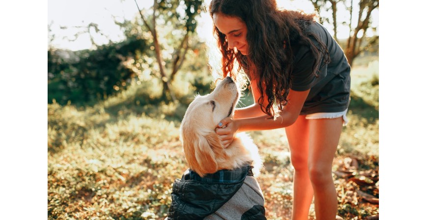 ¿Cómo saber si tu perro tiene alergia alimentaria y cómo actuar?