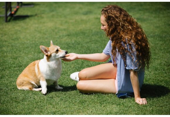 Los beneficios de convivir con perros