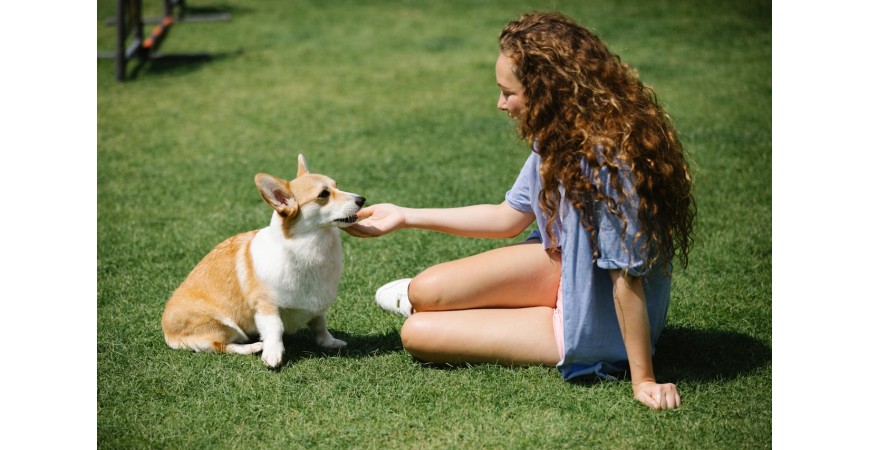 Los beneficios de convivir con perros