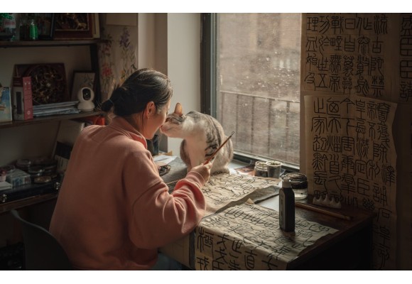 ¿Has notado que tu gato come menos? Causas y soluciones