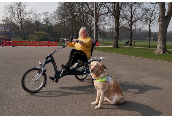 ¿Qué ingredientes debe tener un buen alimento para perros senior?