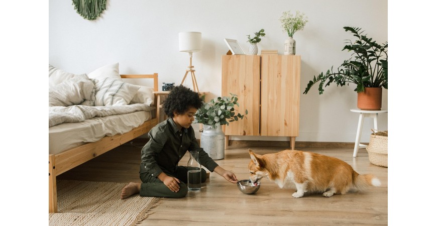 Alimentos típicos de otoño que pueden ser peligrosos para las mascotas