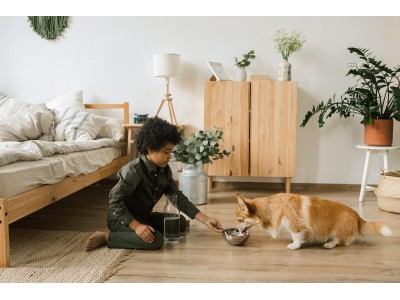 Alimentos típicos de otoño que pueden ser peligrosos para las mascotas