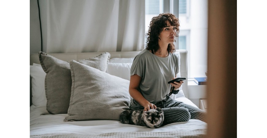 Todo lo que debes saber sobre los cálculos urinarios en gatos