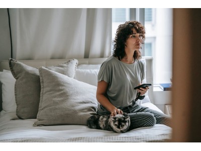 Todo lo que debes saber sobre los cálculos urinarios en gatos