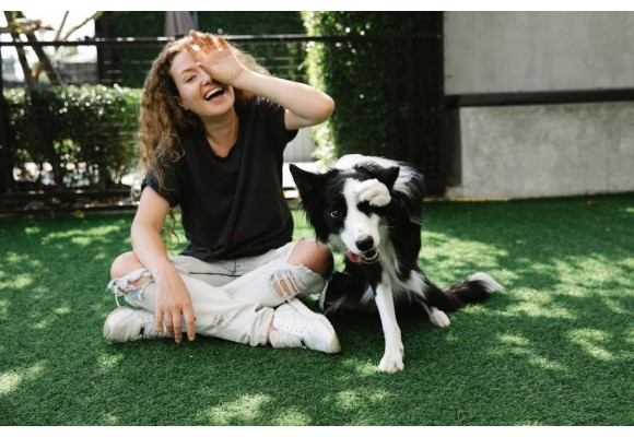 Comida para perro Grain Free: qué es y para qué perros está indicada