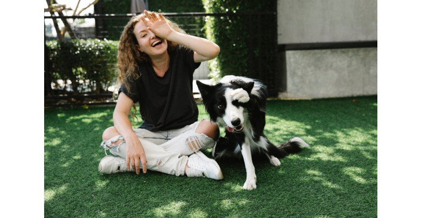 Comida para perro Grain Free: qué es y para qué perros está indicada