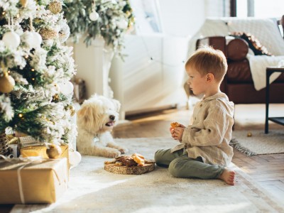 ¡Mascotas y Navidad! Cuidado con las comidas navideñas