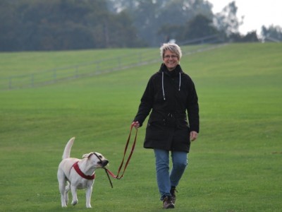 Invierte en paseos de alta calidad para la salud de tu perro